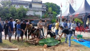 Polres Parepare Kurbankan 10 Sapi dan 1 Kambing pada Idul Adha 1447 H